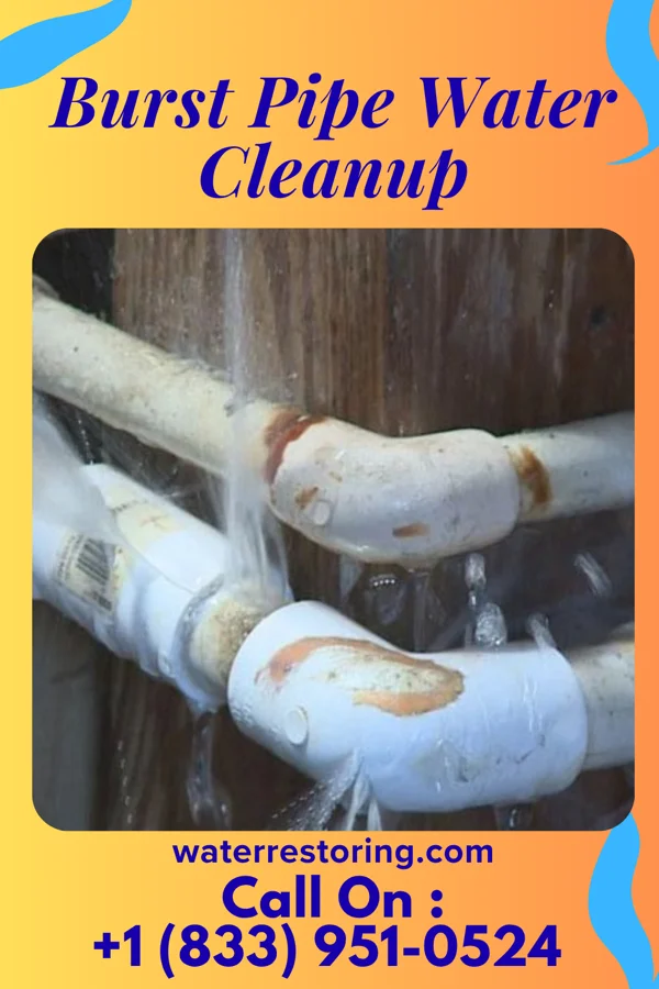 Burst Pipe Water Cleanup in Goodrich, MI