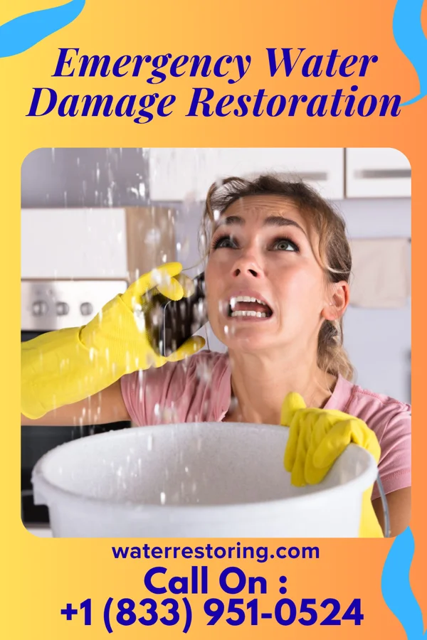 Emergency Water Damage Restoration in Goodrich, MI