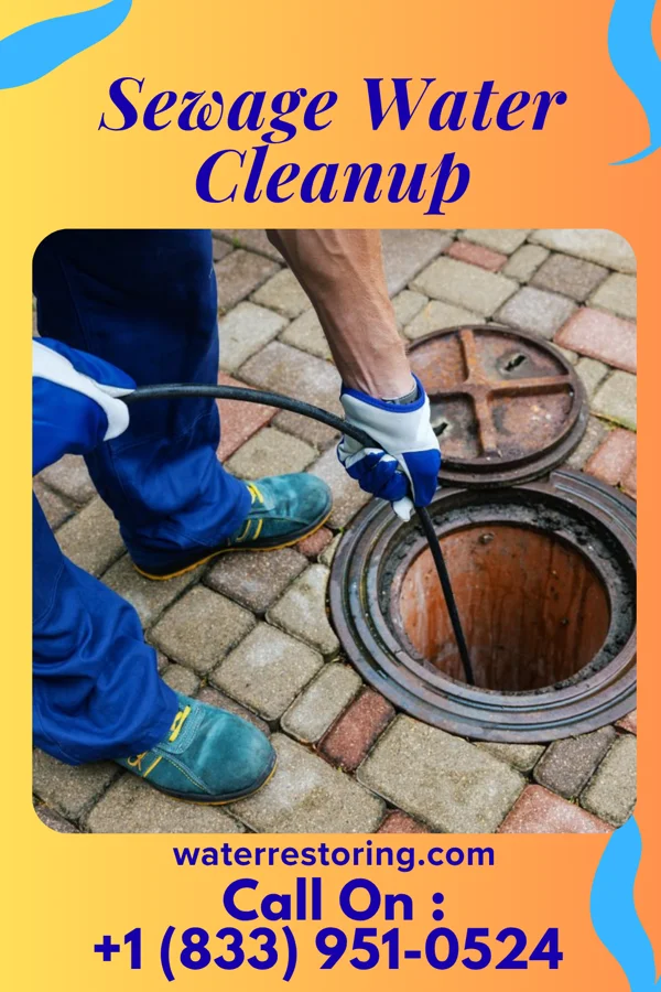 Sewage Water Cleanup in Goodrich, MI